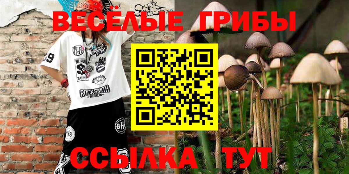Псилоцибиновые грибы Cubensis Луга