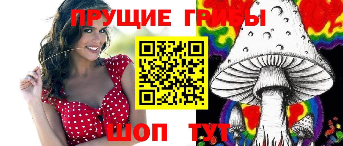 Галлюциногенные грибы Cubensis  Галлюциногенные грибы прущие грибы  Вход с VPN  Луга 